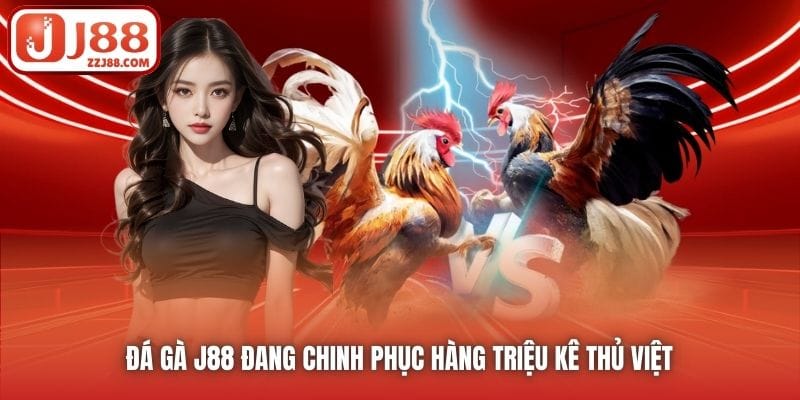Đá Gà J88 đang chinh phục hàng triệu kê thủ Việt 