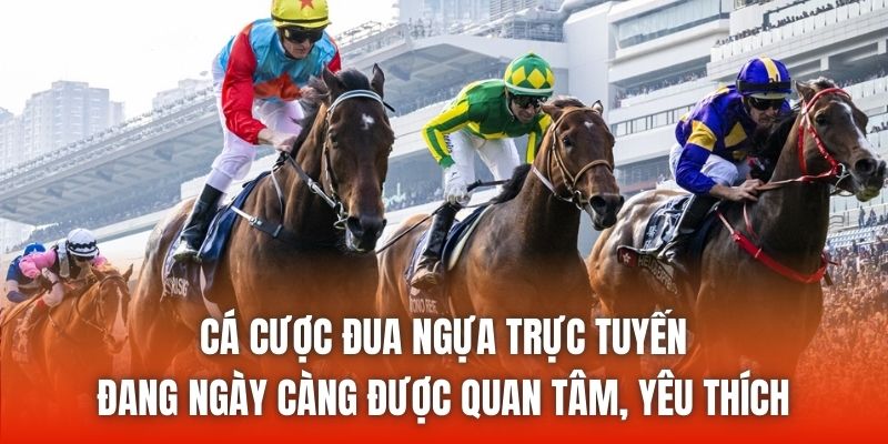 Cá cược đua ngựa trực tuyến đang ngày càng được quan tâm, yêu thích