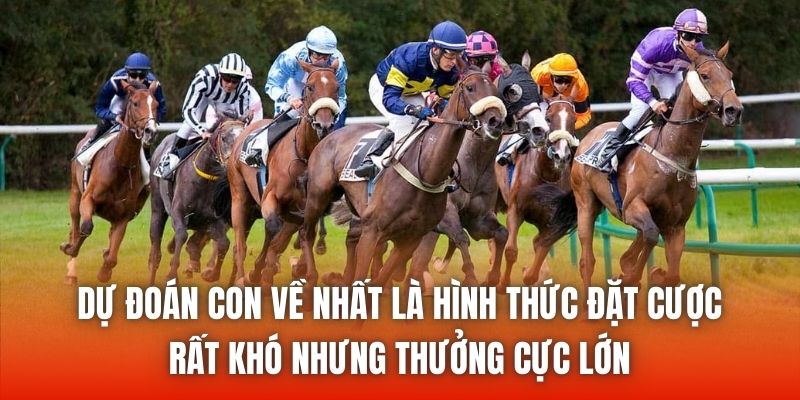 Dự đoán con về nhất là hình thức đặt cược rất khó nhưng thưởng cực lớn