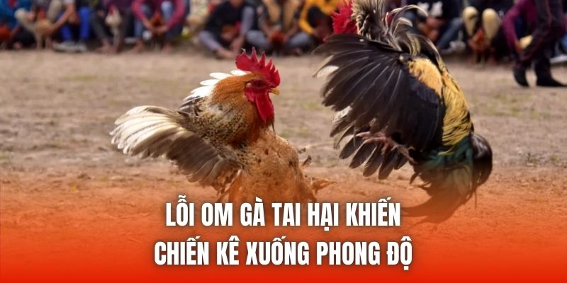 Lỗi om gà tai hại khiến chiến kê xuống phong độ