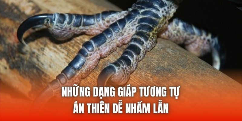Những dạng giáp tương tự án thiên dễ nhầm lẫn