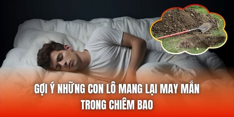 Gợi ý những con lô mang lại may mắn trong chiêm bao