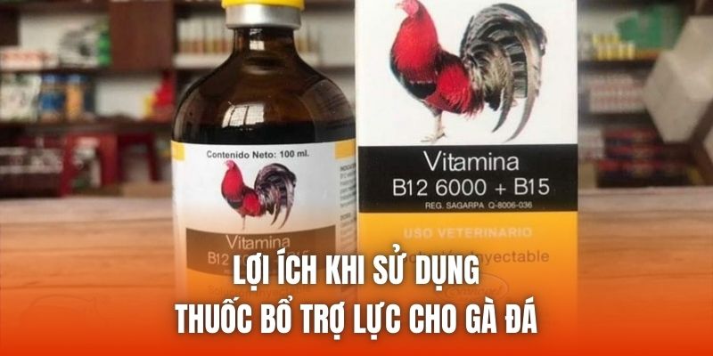 Lợi ích khi sử dụng thuốc bổ trợ lực cho gà đá