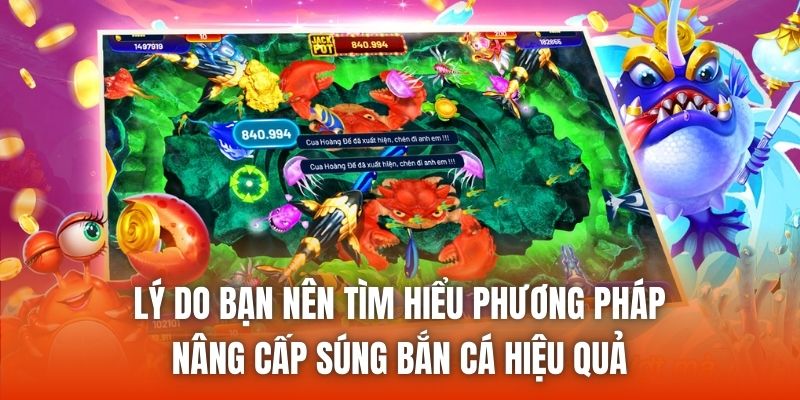 Lý do bạn nên tìm hiểu phương pháp nâng cấp súng bắn cá hiệu quả