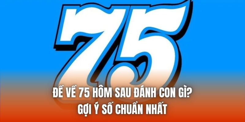 Đề Về 75 Hôm Sau Đánh Con Gì? Gợi Ý Số Chuẩn Nhất